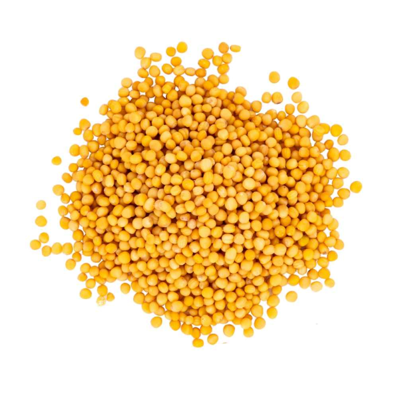 Natural Yellow Mustard Seeds, for Cooking, Grade Standard Food Grade