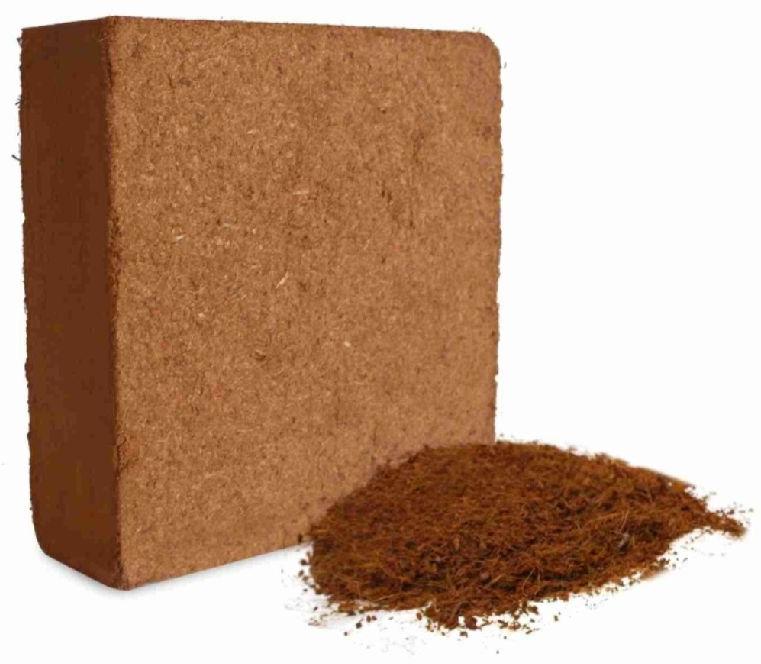 Brown Olive Scoir Coco peat block, Size : 30X30X12