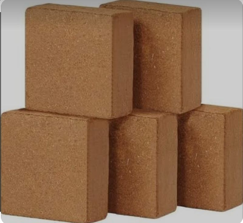 Brown Square coco pith blocks