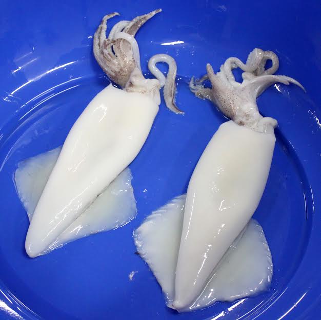 Frozen Cleaned Squid, Packaging Type : Carton Boxes - Angelplus Foods
