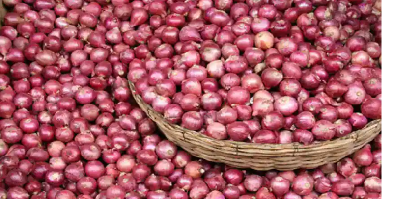 Pink Fresh Onion - Indian Export Hub, Ranchi, Jharkhand