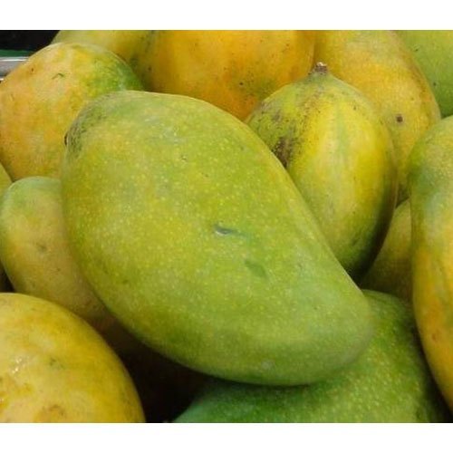 Fresh Langra Mango - Jay Mahalaxmi Nursery And Farm, Valsad, Gujarat