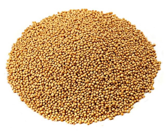 Raw Organic Yellow Mustard Seeds, For Spices, Grade Standard Food Grade Apex International
