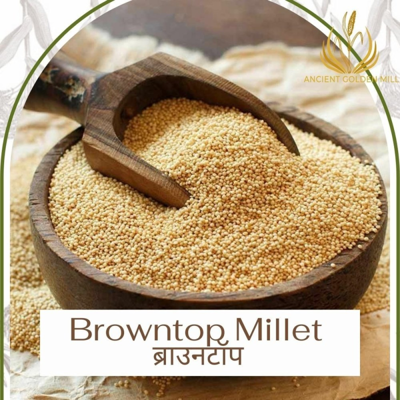 Fine Processed Natural Brown Top Millet K C Group, Faridabad, Haryana