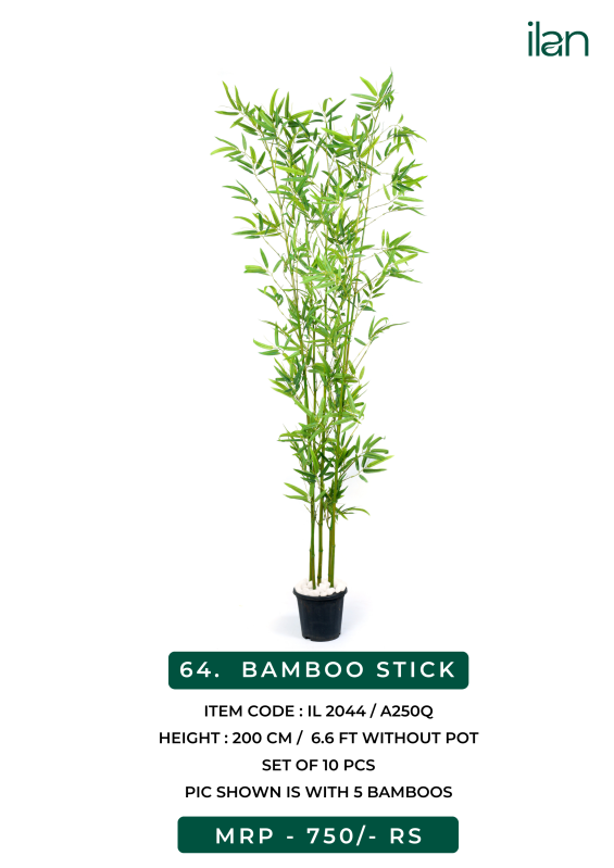 Ilan Bamboo Stick Plant, For Office, Home, Size : 6.6 Ft - Tulsiani ...