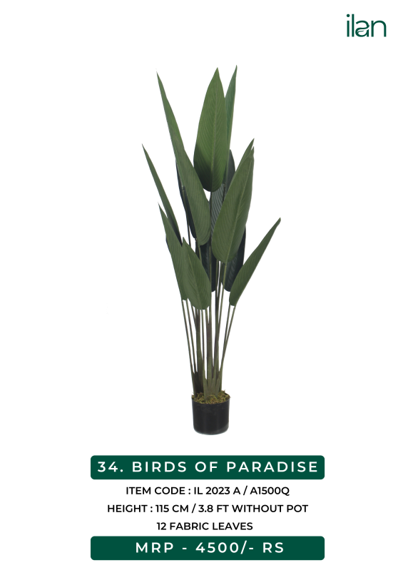 birds of paradise 2023 a plant, Size : 3.8 FT, Feature : Easy Washable ...