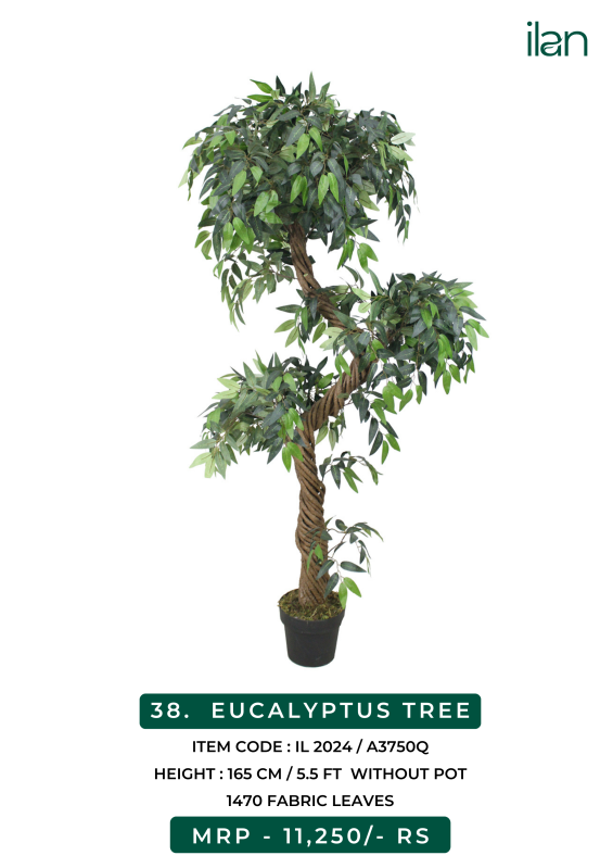 Eucalyptus Tree, Size 5.5 Ft, Feature Easy Washable at Rs 3,750