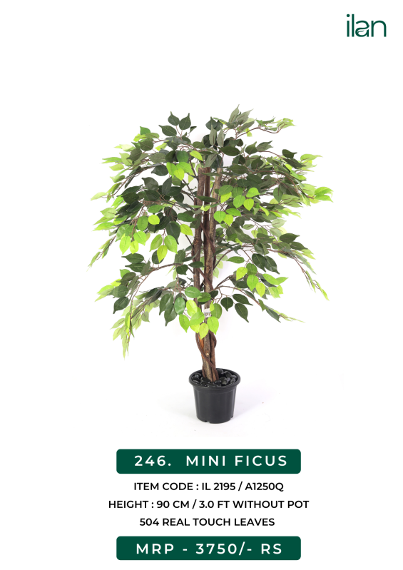Mini Ficus 2195 Artificial Trees, Size 3 Ft, Feature Easy Washable at Rs 1,250 / piece in Surat