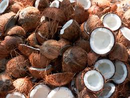 Gamari ® coconut, Shelf Life : 0-3 Days