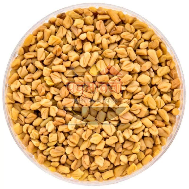 Yellow Raw Organic fenugreek seeds, for Food Medicine, Spices, Cooking