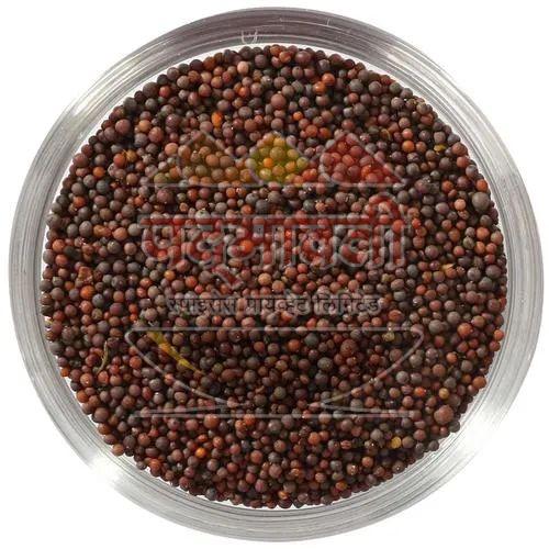 Organic mustard seeds for Food Medicine, Spices, Cooking