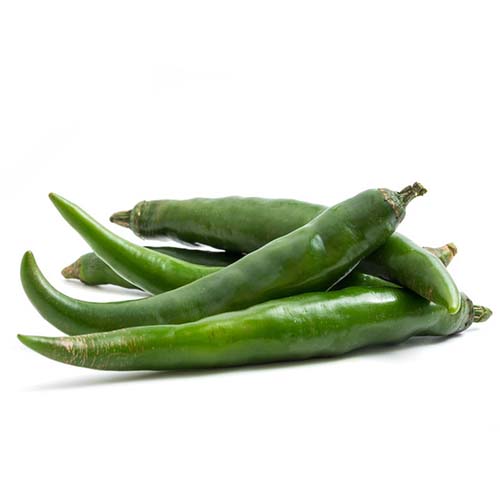 Organic Fresh Green Chilli, For Good Nutritions, Good Health at Rs 80