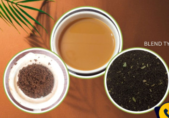 Natural Dooars BLENDED Tea, Shelf Life : 1years