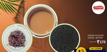 Natural CTC Dooars Tea BOPSM, for Home, Office, Restaurant, Hotel, Certification : FSSAI Certified