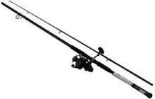 Daiwa D-Wave Saltwater 2-Piece Spinning Combo - 10ft