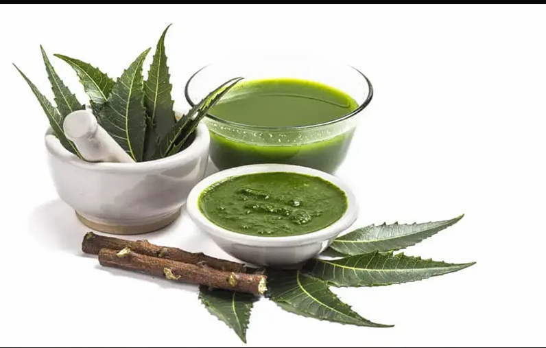 Neem Extract, for Antidandruff, Antiirritant, Antifungal, Antimites