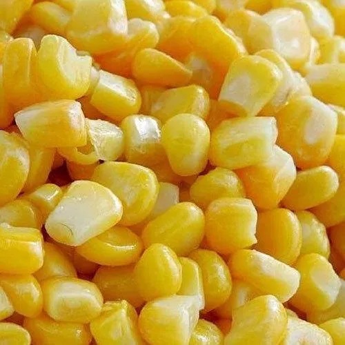 Frozen Sweet Corn