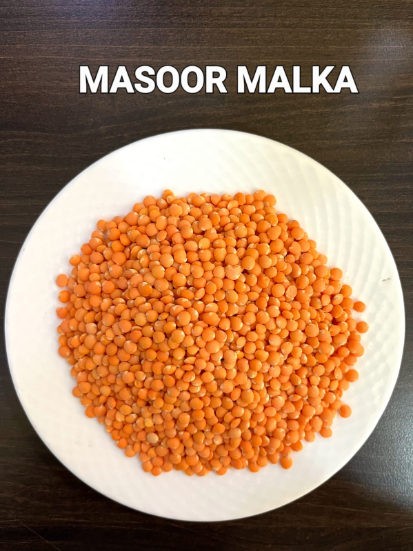 Organic Malka Masoor Dal, For Cooking, Style : Dried
