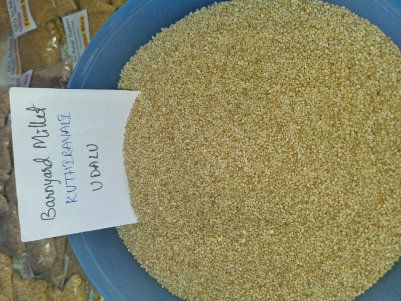 Natural Fine Processed Barnyard Millet Rice, for Cooking, Variety