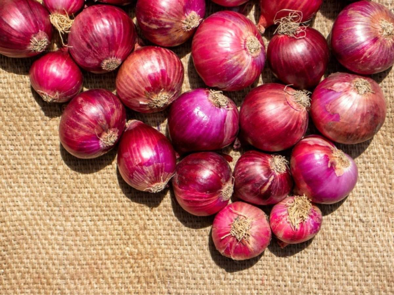 Maharashtra Fresh Red Onion, Net Bag, Packaging Size: 50 Kg