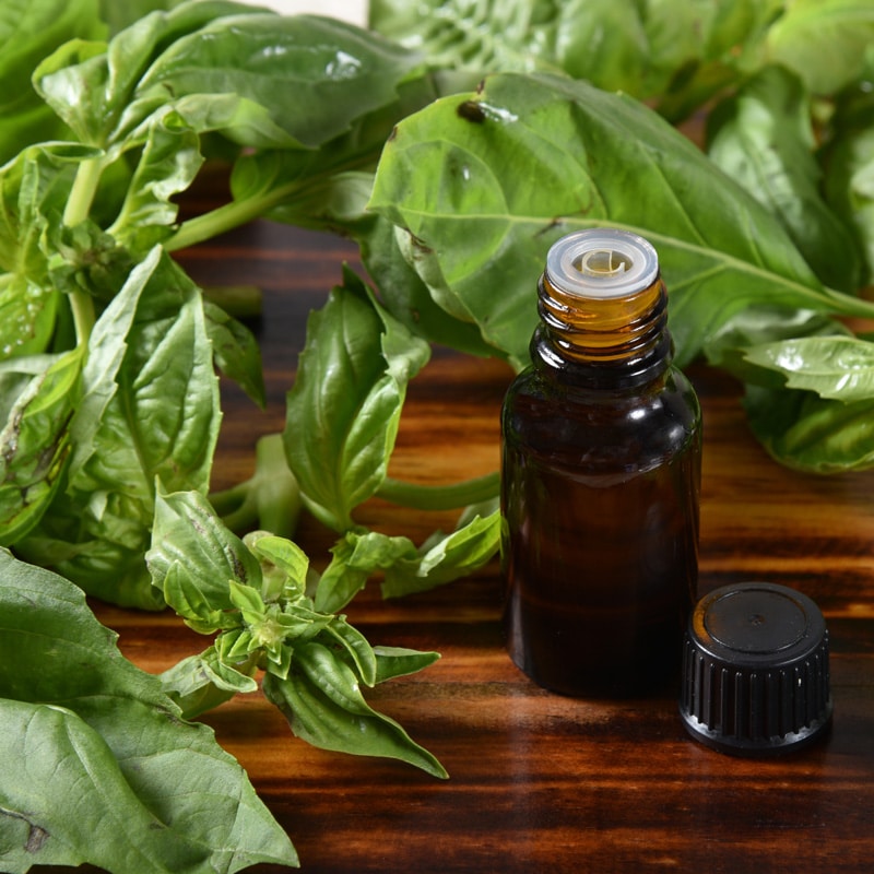 Liquid Refined Holy Basil Oil, for Skin Care, Body Care, Certification