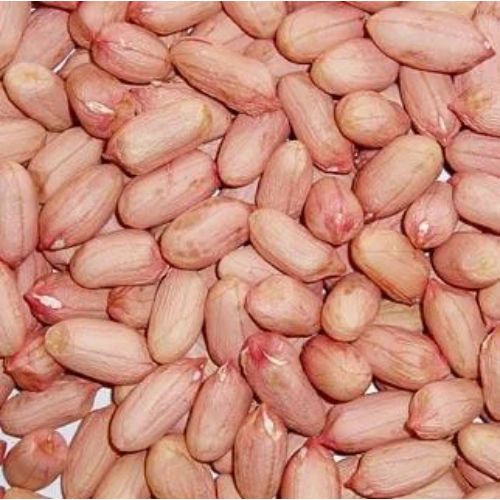 Organic Bold Groundnut Seeds, Style : Dried, Grade