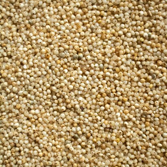 Organic millet, for Cooking, Cattle Feed