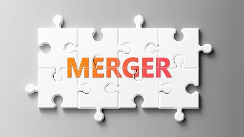 Merger and acquisition advisor