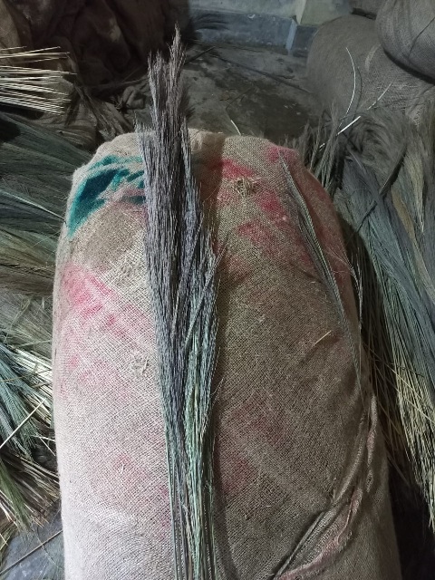 Grass Brass broom raw material, Packaging Type : Sack