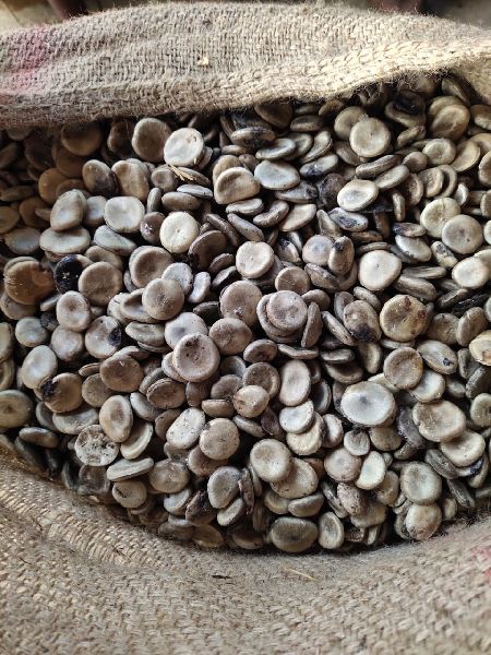 Pure Nux vomica seeds, Color : Brown