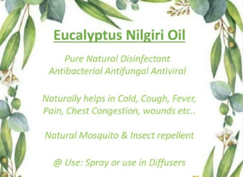 Eucalyptus oil (nilgiri oil)