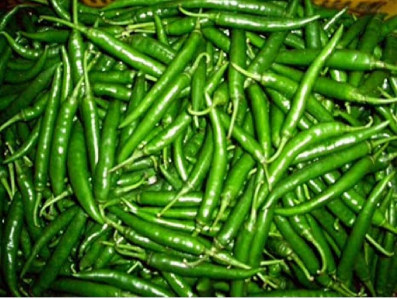 Green Chilli, Packaging Type : Plastic Pouch