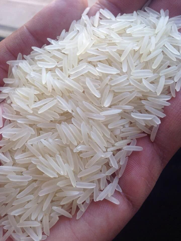 1Kg Fully Polished Soft Organic 1121 Parboiled Basmati Rice, for Cooking, Food