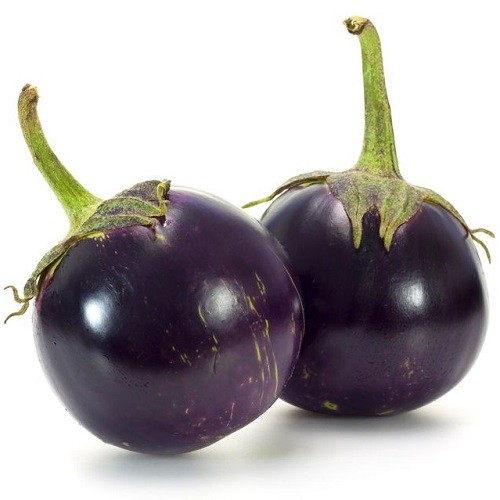 fresh brinjal