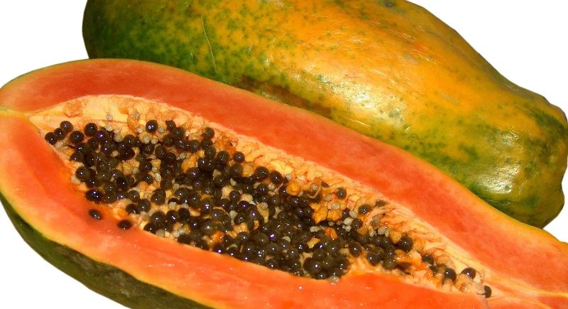 Common fresh papaya, Taste : Sweet