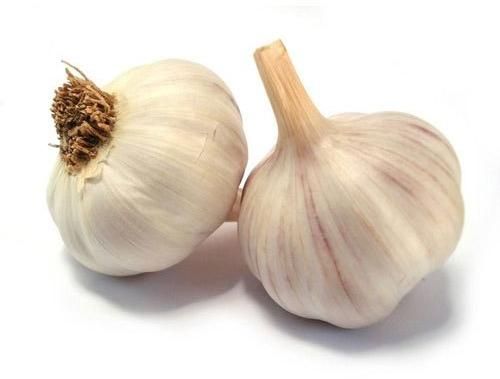 fresh garlic