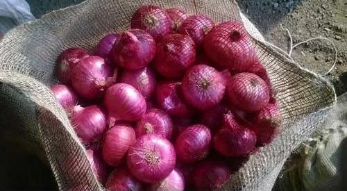 fresh red onion