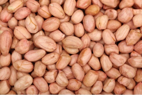 Organic Peanuts, Packaging Size: 5-50 Kg, for Oil, Herbal Formulation, Cooking, Ayurvedic Formulation