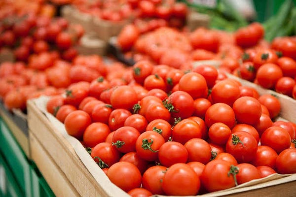 Fresh Tomato, For Cooking, Skin Products, Packaging Type : Net Bag, Plastic Crates