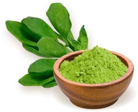 Dehydrated Spinach Leaves Powder