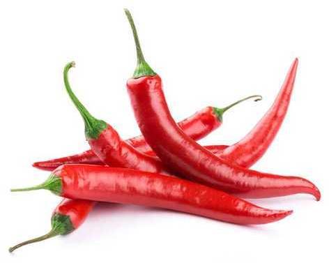 Natural Red Chilli, for Food, Spices Human Consumption, Style : Fresh