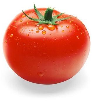 fresh tomato