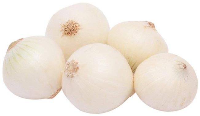 Round Organic Fresh White Onion, for Cooking, Style : Natural
