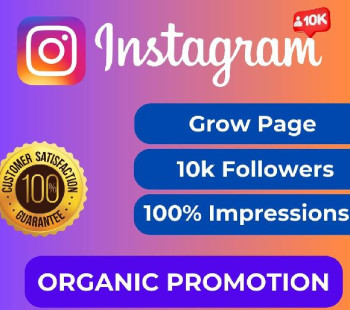 instagram organic promotion service