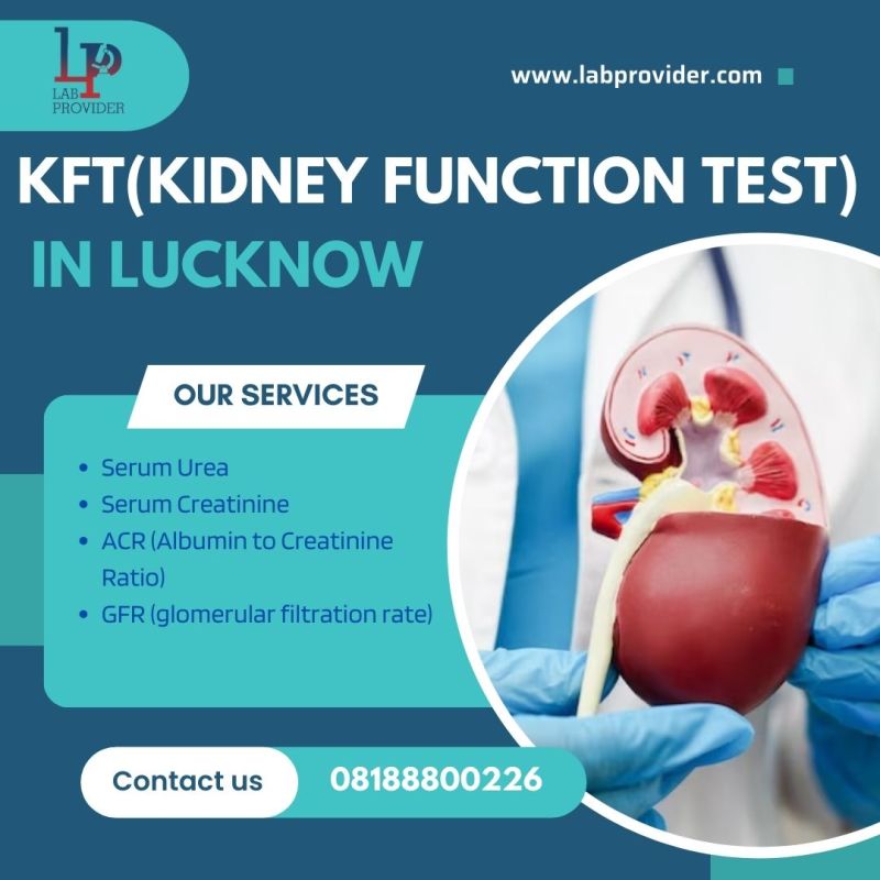 kidney-function-test-at-rs-500-unit-in-lucknow-lab-provider