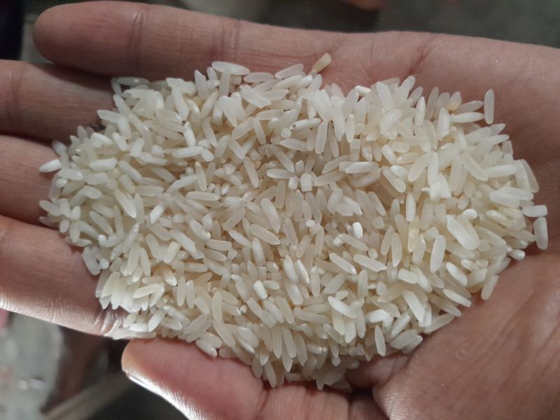 Mansoori Rice, Packaging Type : PP bags