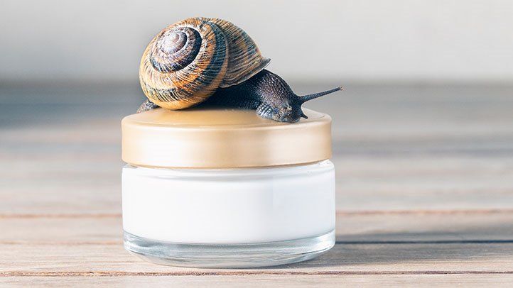 Snail mucin  essence