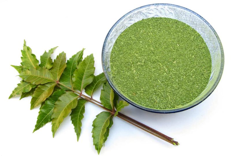 Neem Leaf Powder, for Herbal Medicines, Cosmetic Products, Ayurvedic Medicine, Color : Green