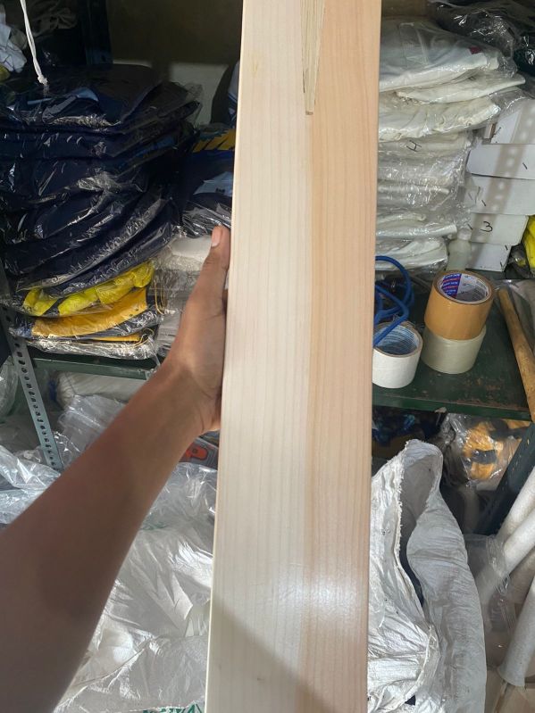 1kg Plain Wood english willow bat, Size : 5, 6, 7