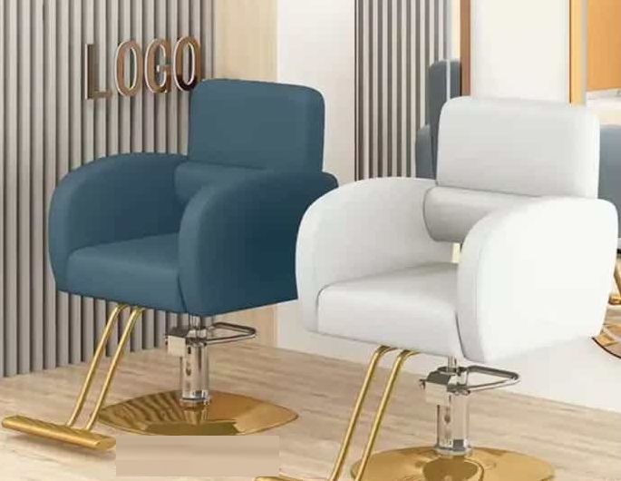 Model No. 1245 Salon Chair, Size : Standard